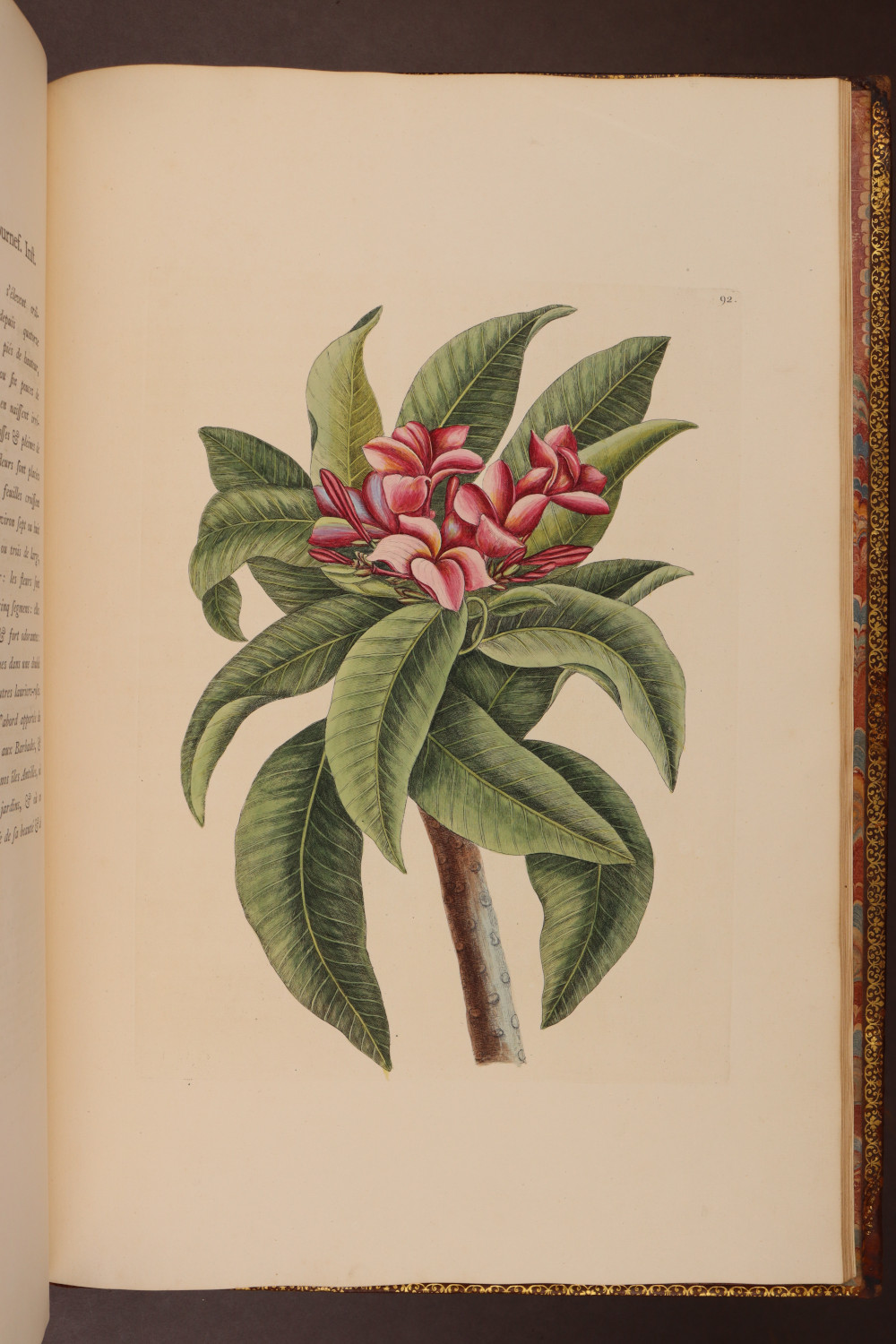 Plate 92